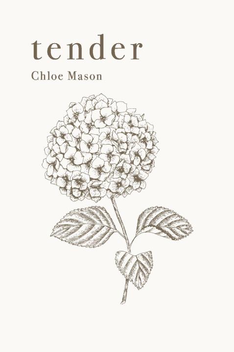 Tender By Chloe Mason BookShop