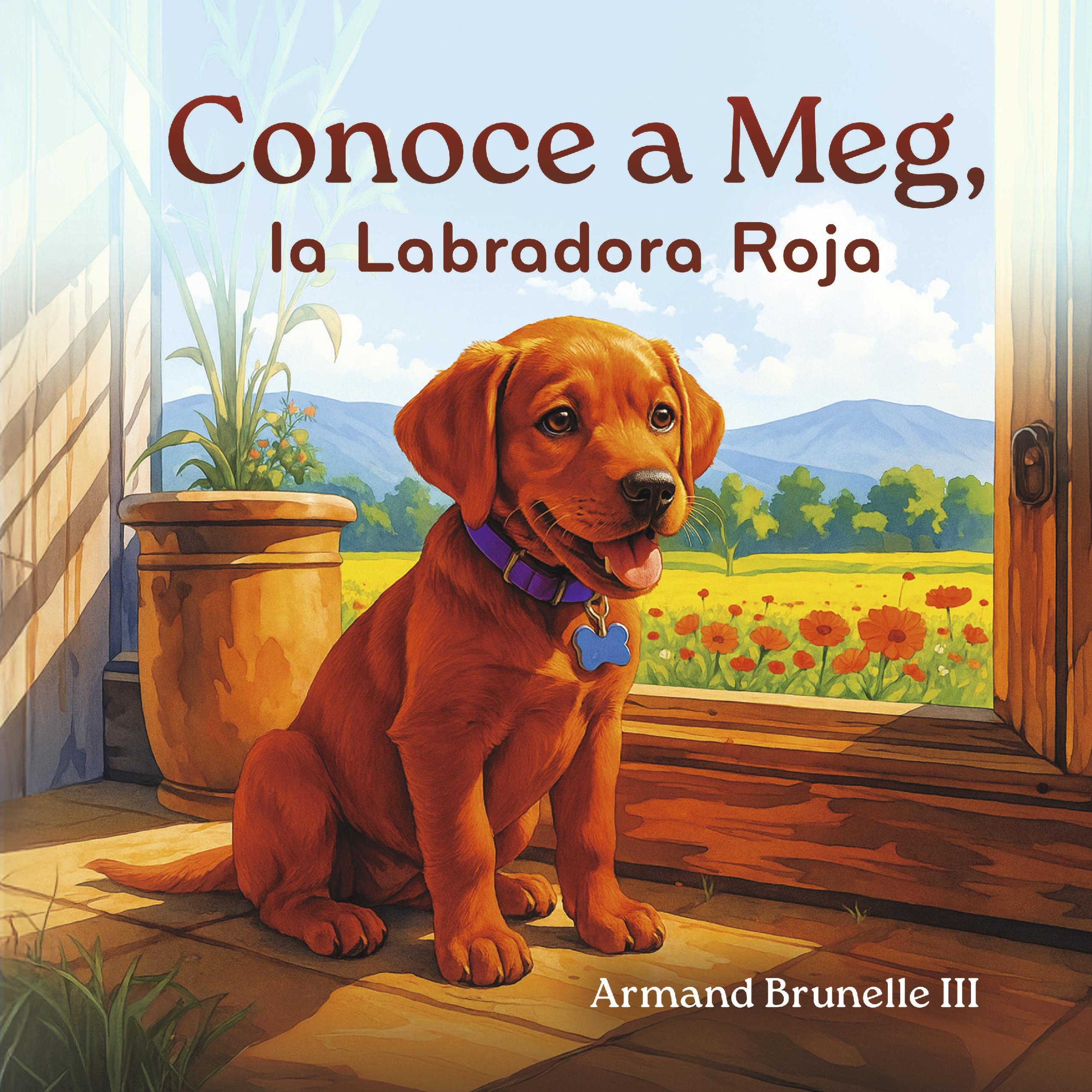 Book Image Not Available