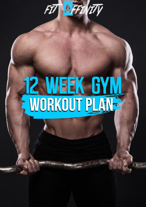 Best 12 Day Gym Workout for Men – LIFESTYLE BY PS