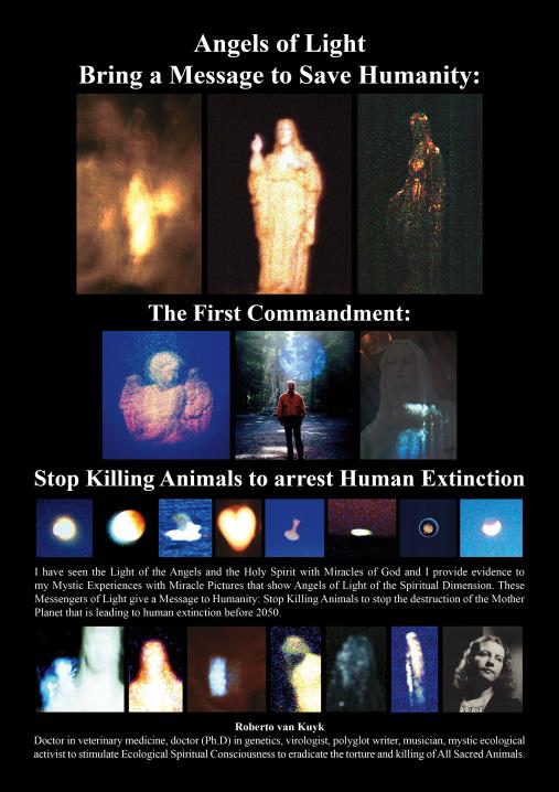 Stop Killing Animals!: The First Commandment to Save Humanity by Roberto  van Kuyk | BookBaby Bookshop