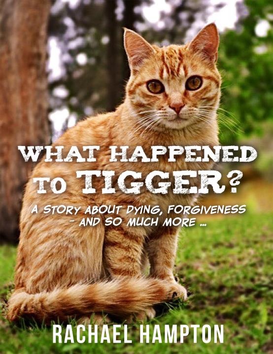 What Happened to Tigger?: A story about dying, forgiveness – and so much  more… by Rachael Hampton | BookBaby Bookshop