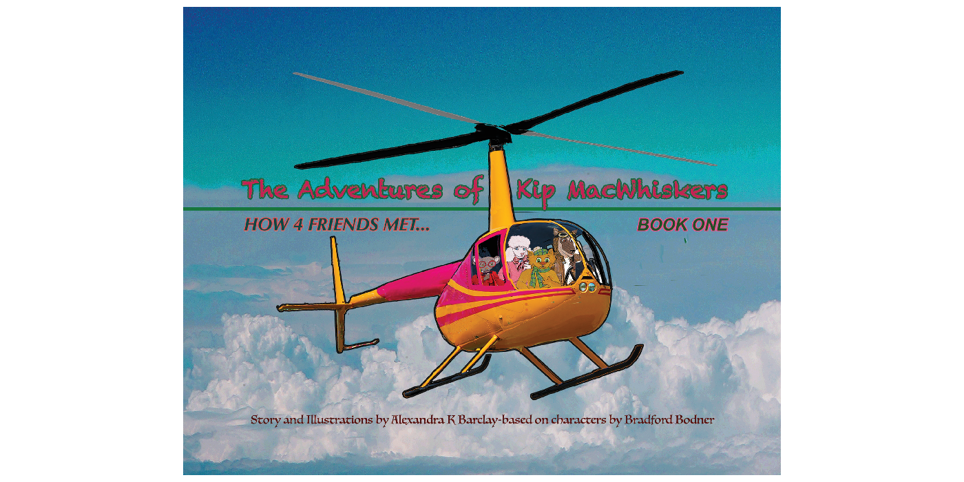 How 4 Friends Met | BookBaby Bookshop