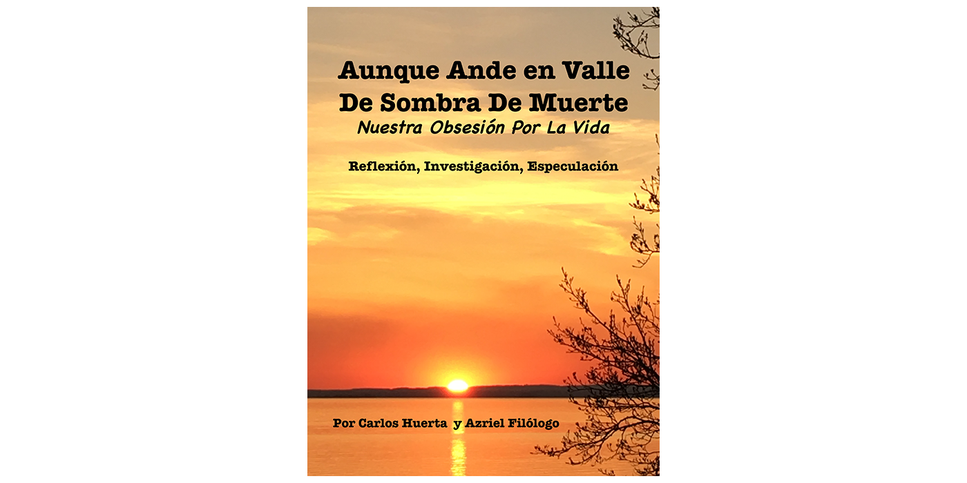 Aunque Ande en Valle de Sombra de Muerte | BookBaby Bookshop
