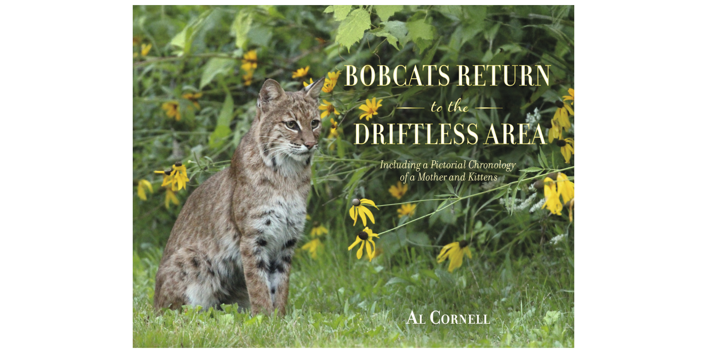 Bobcats Return to the Driftless Area | BookBaby Bookshop
