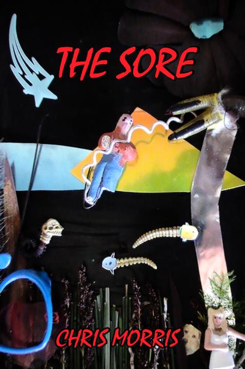 Book Image Not Available