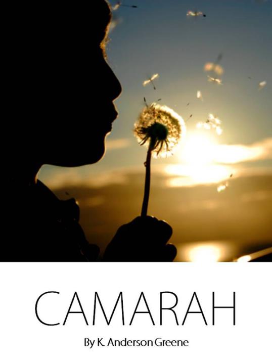 Book Image Not Available