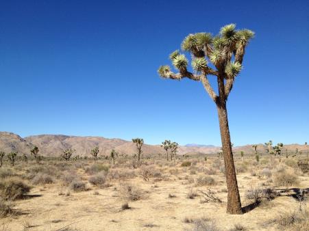 Book Image Not Available