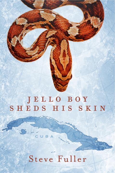 Book Image Not Available