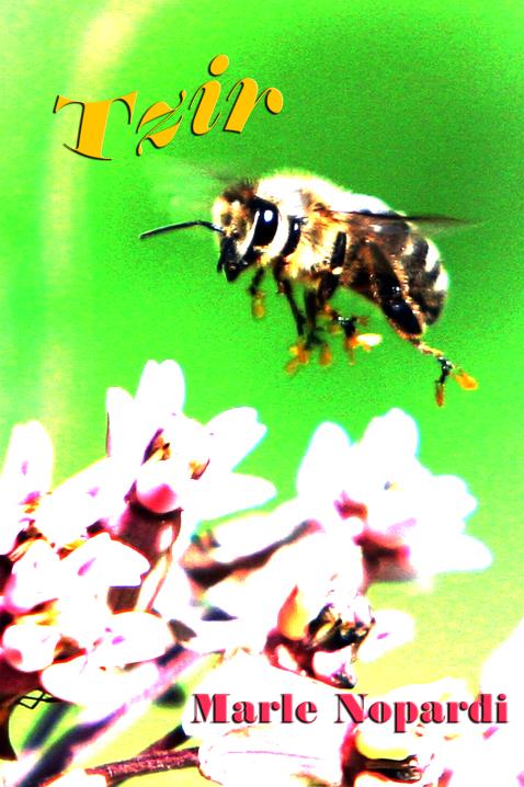 Book Image Not Available