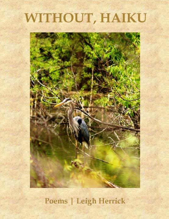 Book Image Not Available