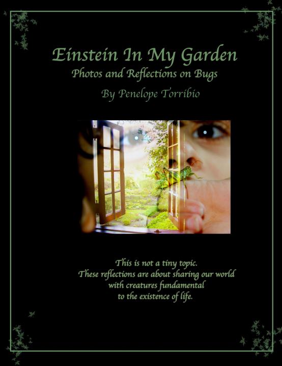 Book Image Not Available