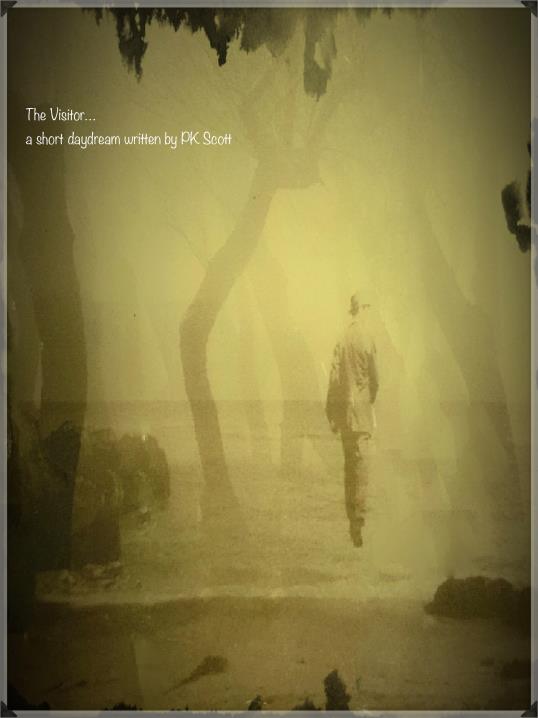 Book Image Not Available