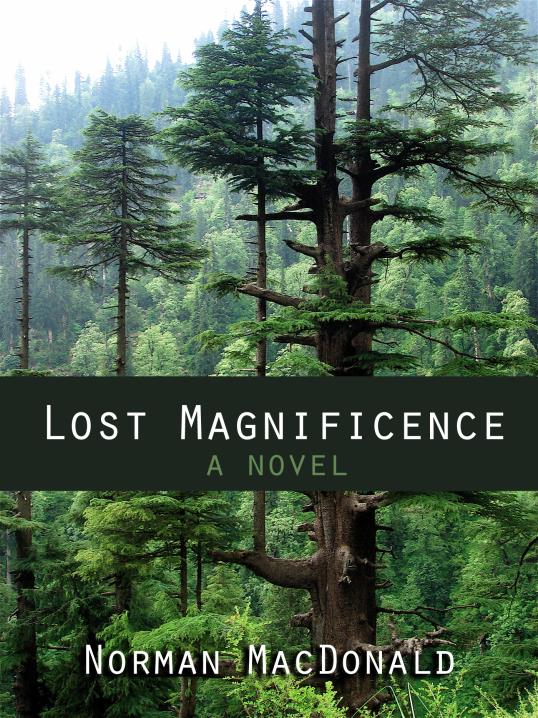 Book Image Not Available