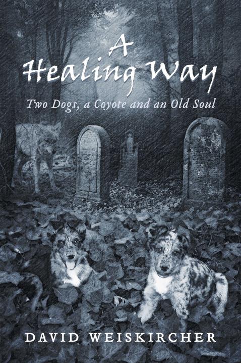 Book Image Not Available