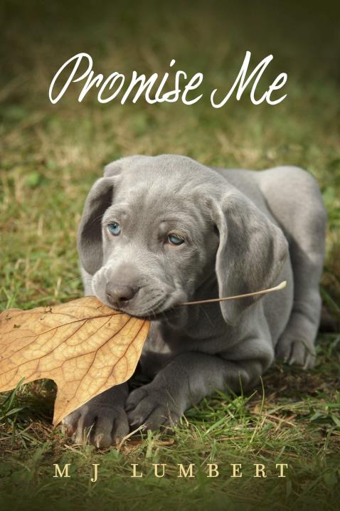 Book Image Not Available