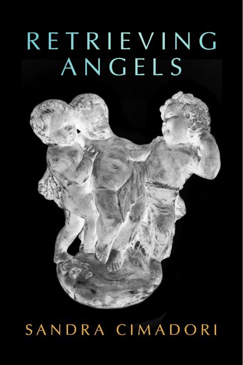 Book Image Not Available