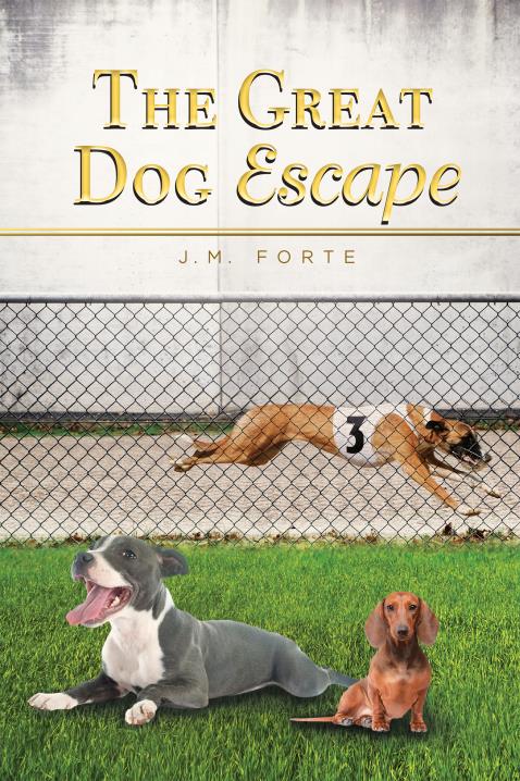 Book Image Not Available
