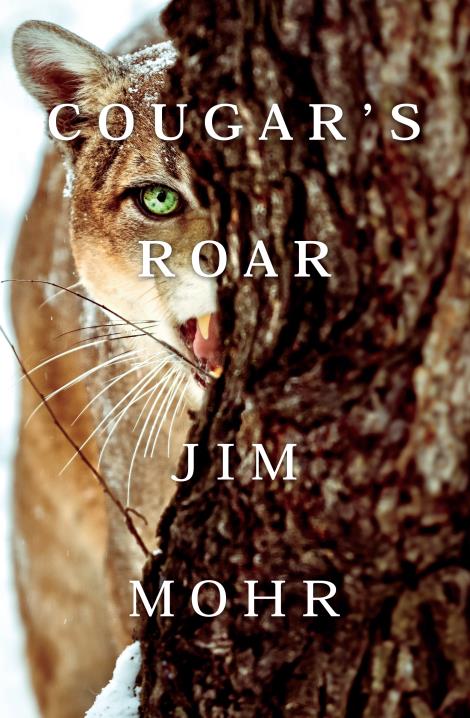 Book Image Not Available