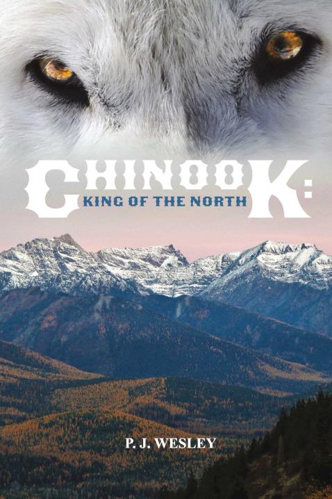 Book Image Not Available