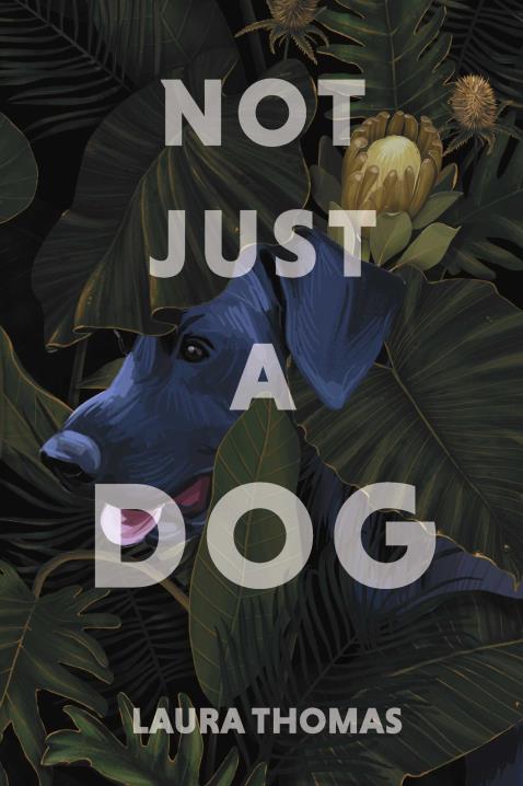 Book Image Not Available
