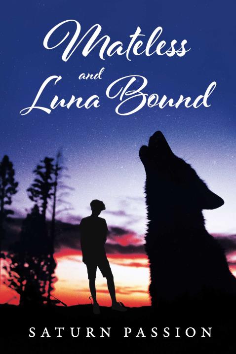 Book Image Not Available