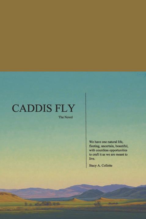 Book Image Not Available