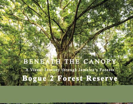 Book Image Not Available