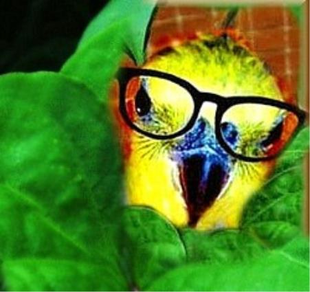 Profile Image Not Available