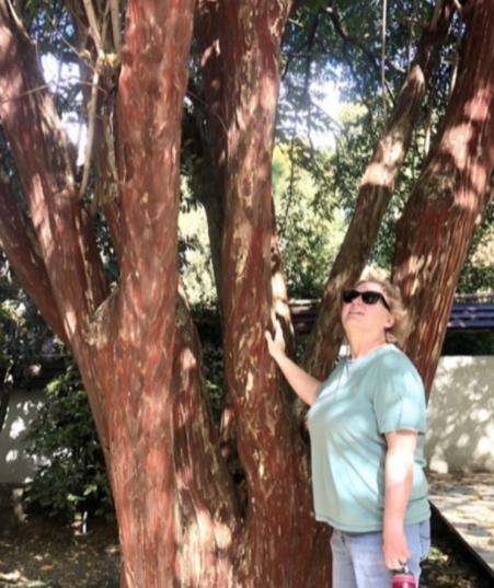 Profile Image Not Available