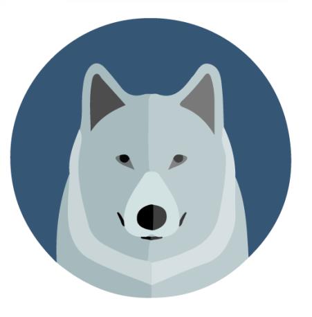 Profile Image Not Available