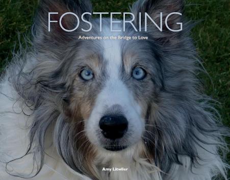 Book Image Not Available