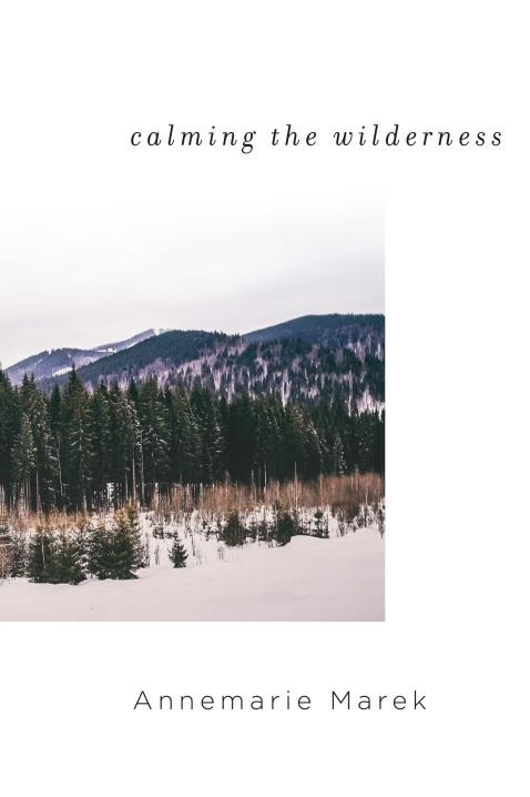 Book Image Not Available