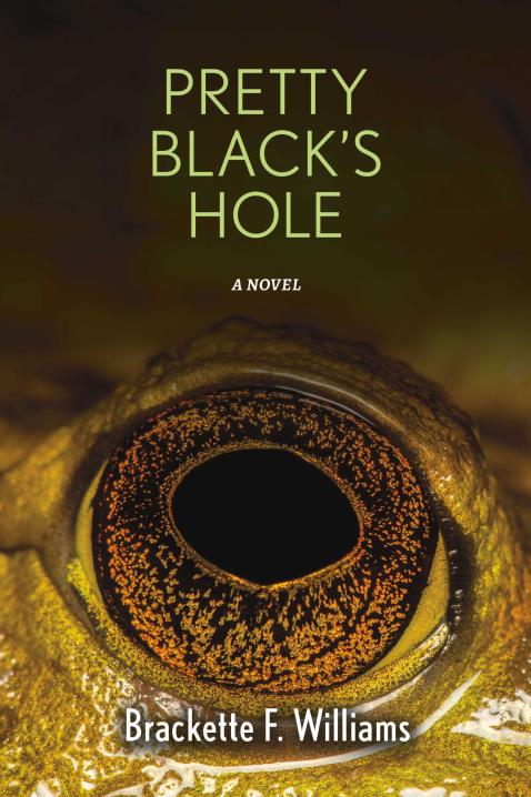 Book Image Not Available