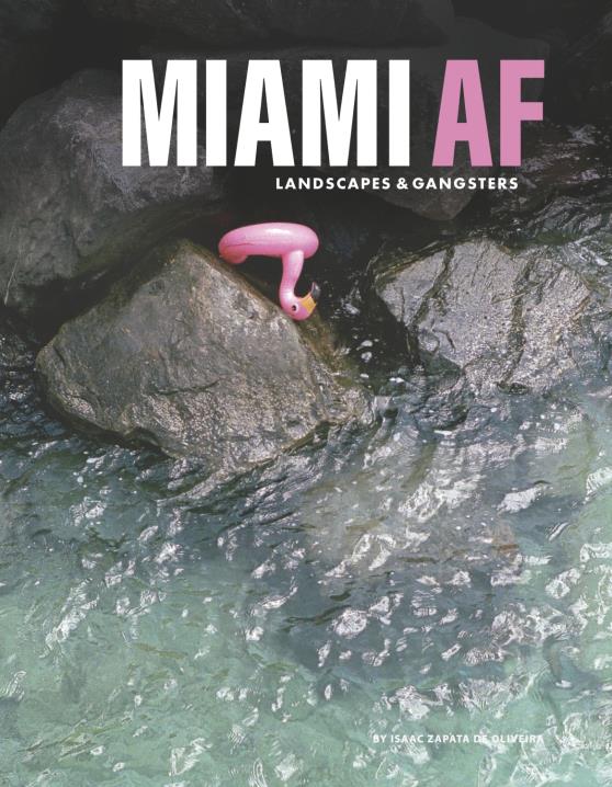 Book Image Not Available