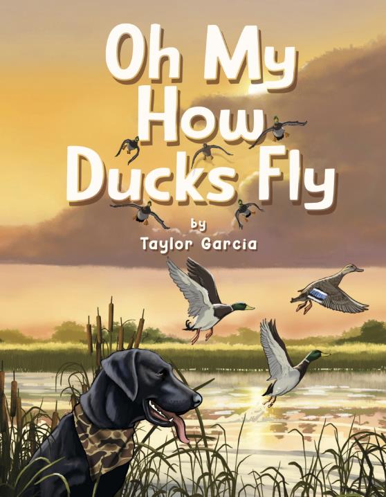 Book Image Not Available