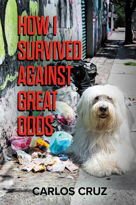 Book Image Not Available