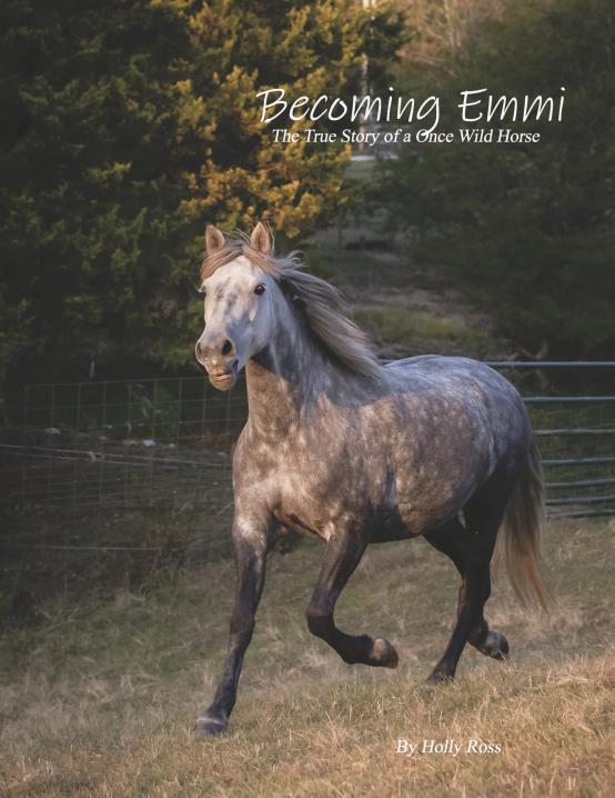 Book Image Not Available