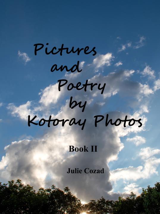 Book Image Not Available