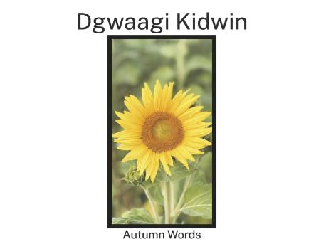 Book Image Not Available